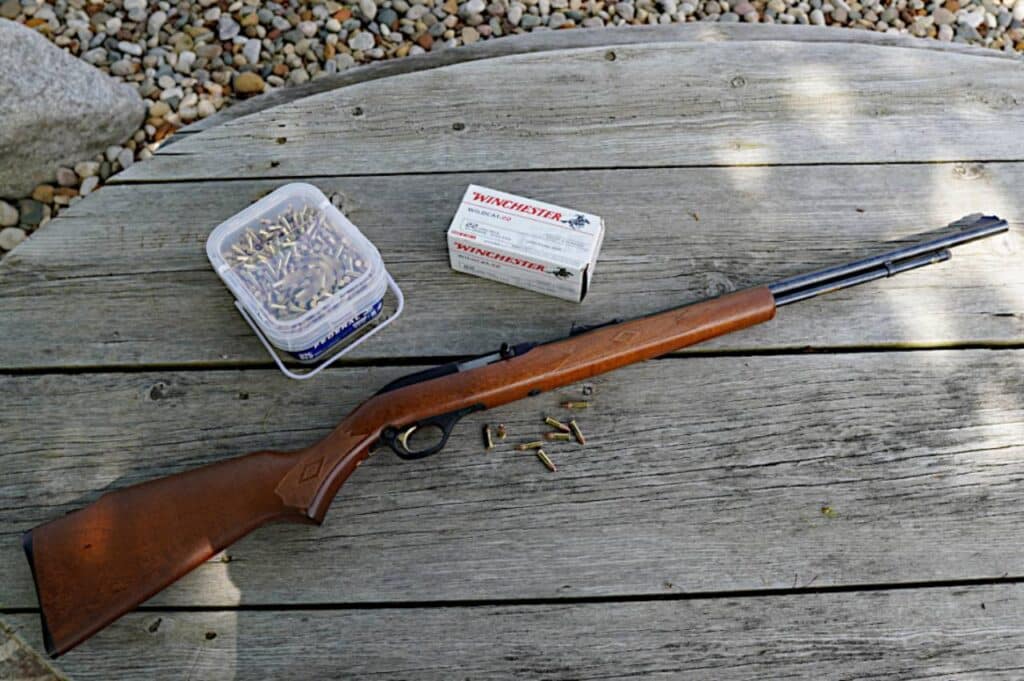 Semi-Automatic Rifle in .22 LR