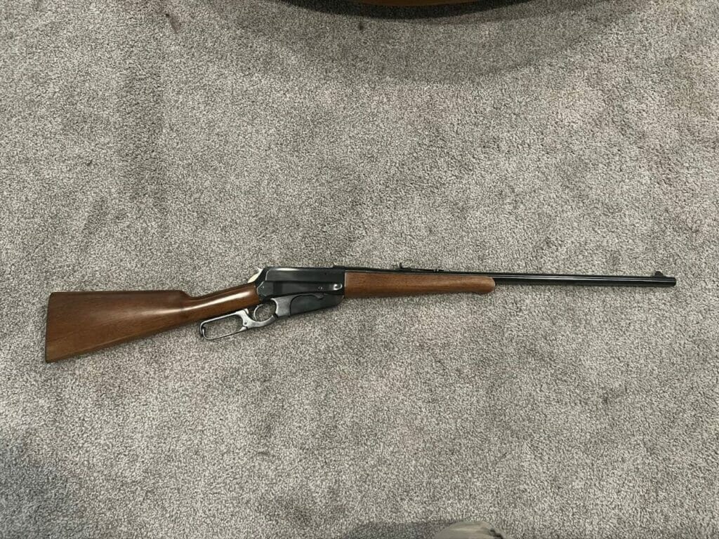 Browning 1895 Review